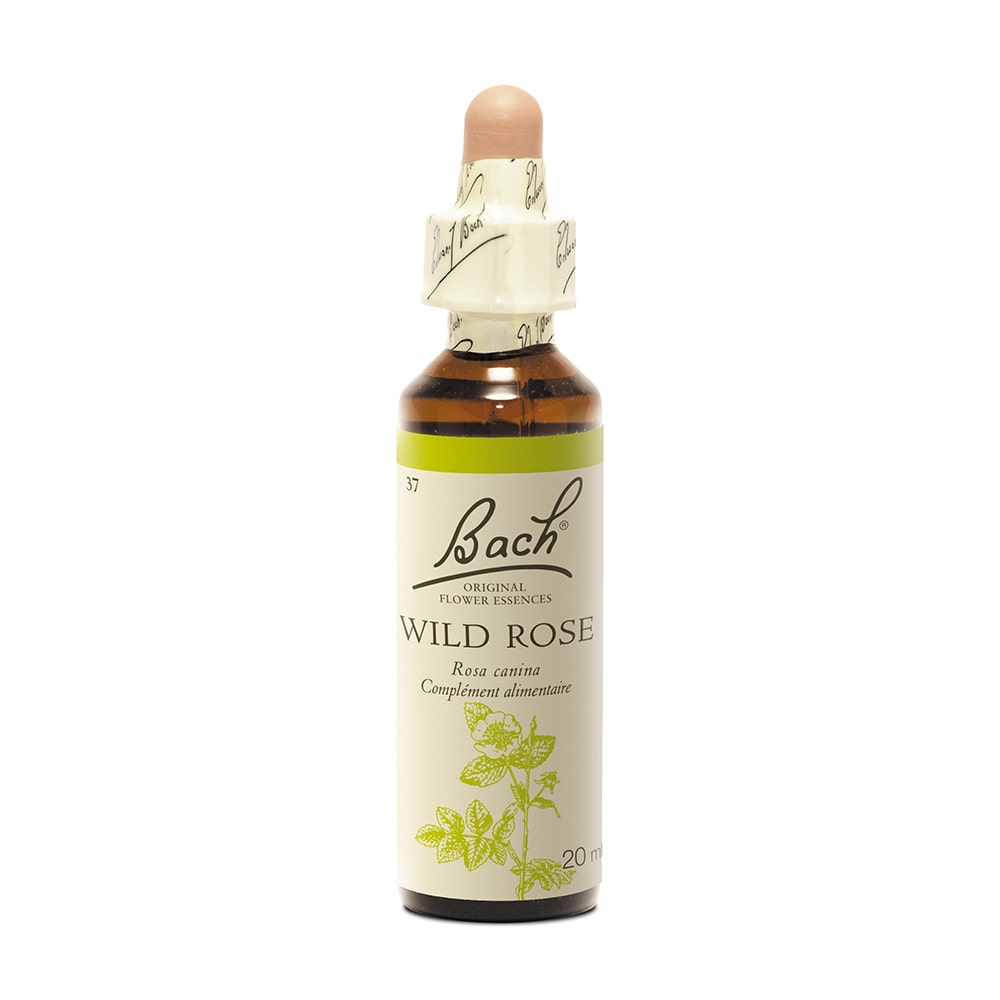 Fleurs de Bach Original N°37 Wild Rose Eglantier 20ml