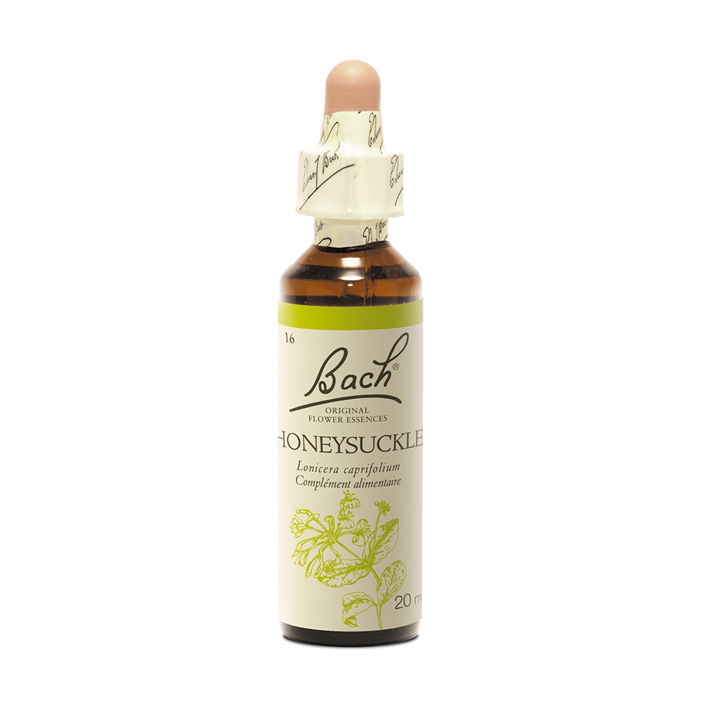 Fleurs de Bach Original N°16 Honeysuckle Chèvrefeuille 20ml
