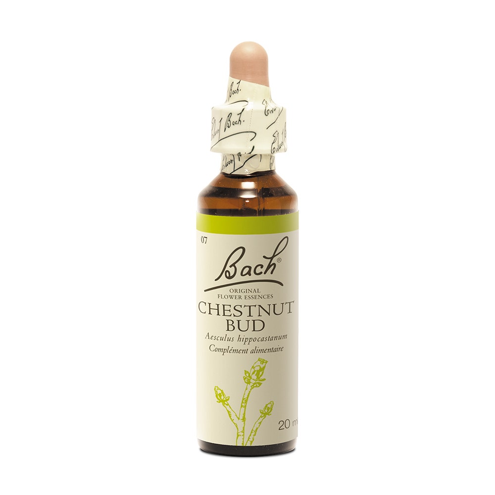 Fleurs de Bach Original N°07 Chestnut Bud Bourgeon de Marronnier Blanc 20ml