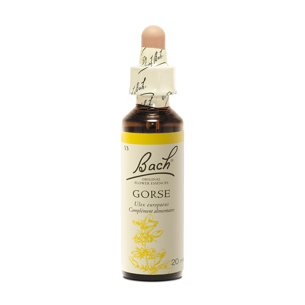 Fleurs de Bach Original N°13 Gorse Ajonc 20ml