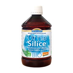 Biofloral Ortie-silice Buvable Bio Demeter Souplesse Jeunesse 500ml