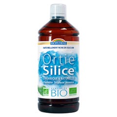 Biofloral Ortie-silice Buvable Bio Souplesse Jeunesse 1l