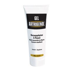 Nutri Expert Gel Artrogenol Confort Articulaire 100ml
