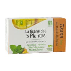 Nutrigée La Tisane Des 5 Plantes Bio X20