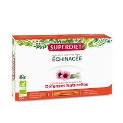 Superdiet Extrait Fluide Echinacee Bio 20 Ampoules De 15 ml