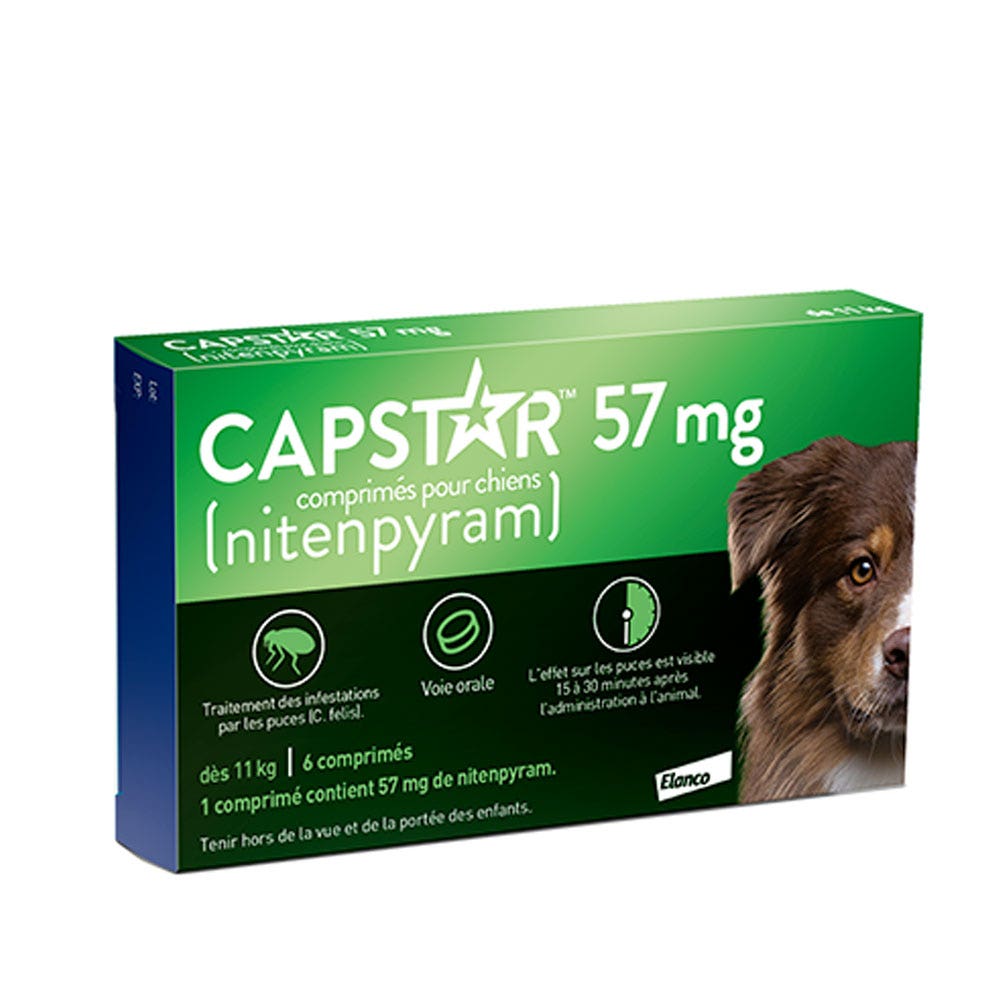 Capstar Anti Puces Chien de plus de 11kg 6 Comprimes