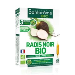 Santarome Radis Noir 20 Ampoules Bio 200ml