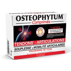 3 Chênes Osteophytum Renfort Et Mobilite 60 Comprimes