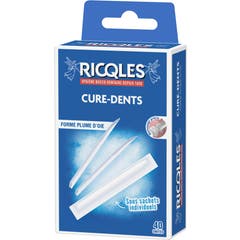 Ricqles Cure Dents X40 Juvasante