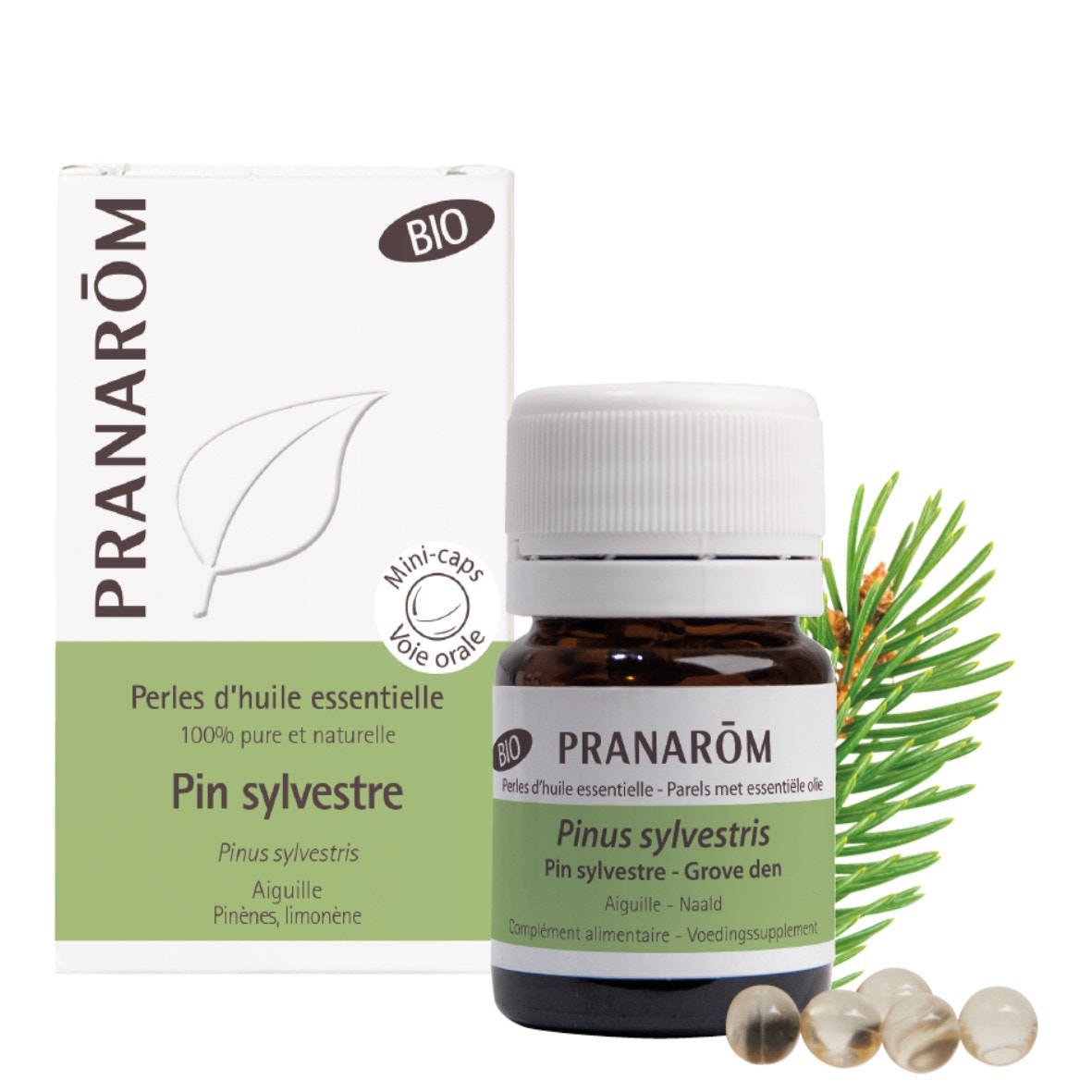 Pranarôm Les Huiles Essentielles Pin Sylvestre Bio 60 Perles - Easypara