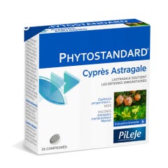 Pileje Phytostandard Cyprés Astragale 30 comprimés