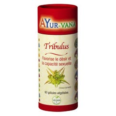 Ayur-Vana Tribulus Favorise lé désir 60 gélules
