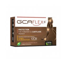 Sante Verte Gcaflex+ 30 Gelules Fonctionnement du cartilage