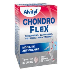 Alvityl Chondroflex 60 Comprimes