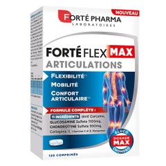 Forté Pharma Forté Flex Articulations Flexibilité Mobilité 120 comprimés