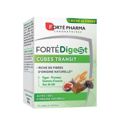 Forté Pharma Forté Digest Cubes Transit Riche en Fibres 12 cubes à mâcher