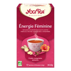 Yogi Tea Energie Feminine Infusion Ayurvédique Bio 17 Sachets