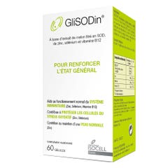 Isocell Glisodin Etat Général 60 gélules