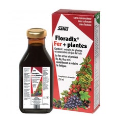 Salus Floradix Fer + Plantes 250ml