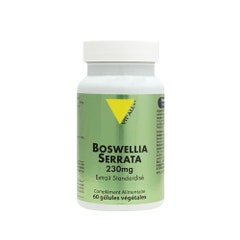 Vit'All+ Boswellia Serrata 230mg 60 gélules végétales