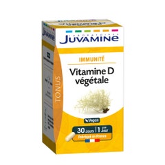 Juvamine Vitamine D3 30 Gelules