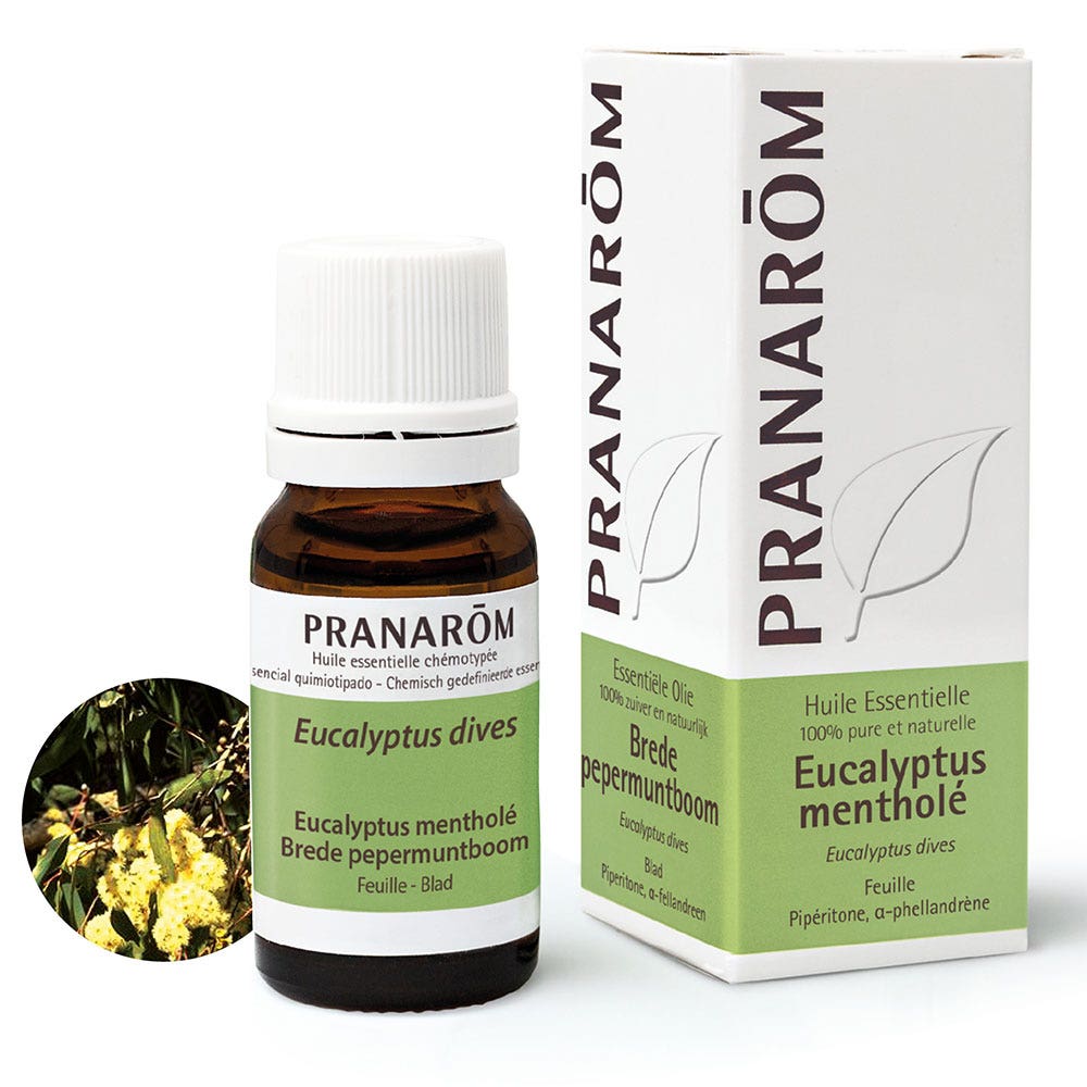 Pranarôm Les Huiles Essentielles Eucalyptus Menthole 10ml