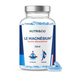 NUTRI&CO Magnésium Végétal Vitamine B6 Stress et Tonus 120 gélules