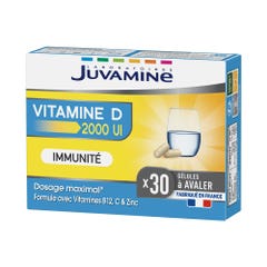 Juvamine Vitamine D 2000 UI 30 gélules