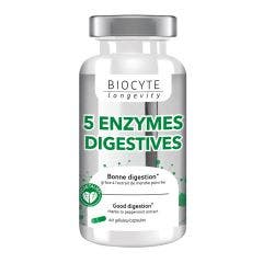 5 Enzymes 60 Gelules Longevite Biocyte