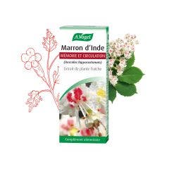 Extrait de plante fraîche Marron d'Inde 50ml A.Vogel France