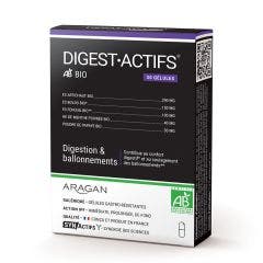 Digestactifs 30 Gelules bio Synactifs