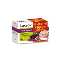 Transit Pruneau Figue Raisin 40 cubes Laxeov Nutreov