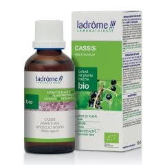 Extrait de plantes fraîches bio cassis 50ml Ladrôme