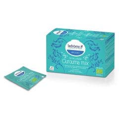 Infusion Curcuma Mix Bio x20 sachets Ladrôme