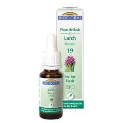 N°19 Meleze Bio Demeter Fleurs De Bach Courage Espoir 25ml Biofloral