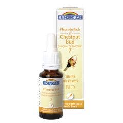 N°7 Bourgeon De Marronnier Bio Demeter Fleurs De Bach Vitalite Joie De Vivre 25ml Biofloral
