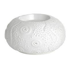 Diffuseur à Chaleur Douce Calvi Edition Limitée Puressentiel
