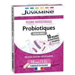 PROBIOTIQUES EQUILIBRE 4 souches 15 gélules Digestion Juvamine