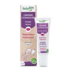 Fluide Lèvres Grande Consoude Bio 10ml Herbalgem