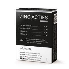 ZincActifs 60 gélules Synactifs