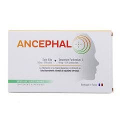 Ancephal 30 Gélules Cure de 1 Mois Nature'S Plus