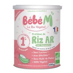 Protéines de Riz AR Bio 600g Bébé M 1er Age de 0 A 6 Mois La Mandorle