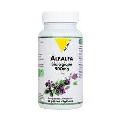 Alfalfa Bio 500mg 60 Gelules Vit'All+