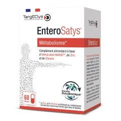 EnteroSatys® Métabolisme 60 Gelules Targedys