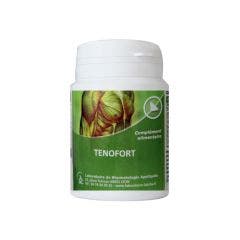 Tenofort (ex Cicatendon) 60 Gélules Labrha
