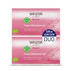Tisane Allaitement Fruits Rouges 2x20 Sachets Maternite Weleda