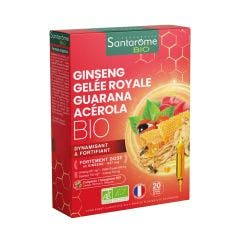 Ginseng Gelée Royale Guarana Acérola Bio 20 ampoules Vitalité Santarome