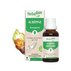Aubépine 30ml Bourgeons Herbalgem