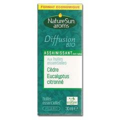 Diffusion Bio Assainissant Anti-tabac 30ml Naturesun Aroms