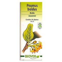 Gouttes De Plantes Peumus Boldus Boldo Digestif 50ml Biover